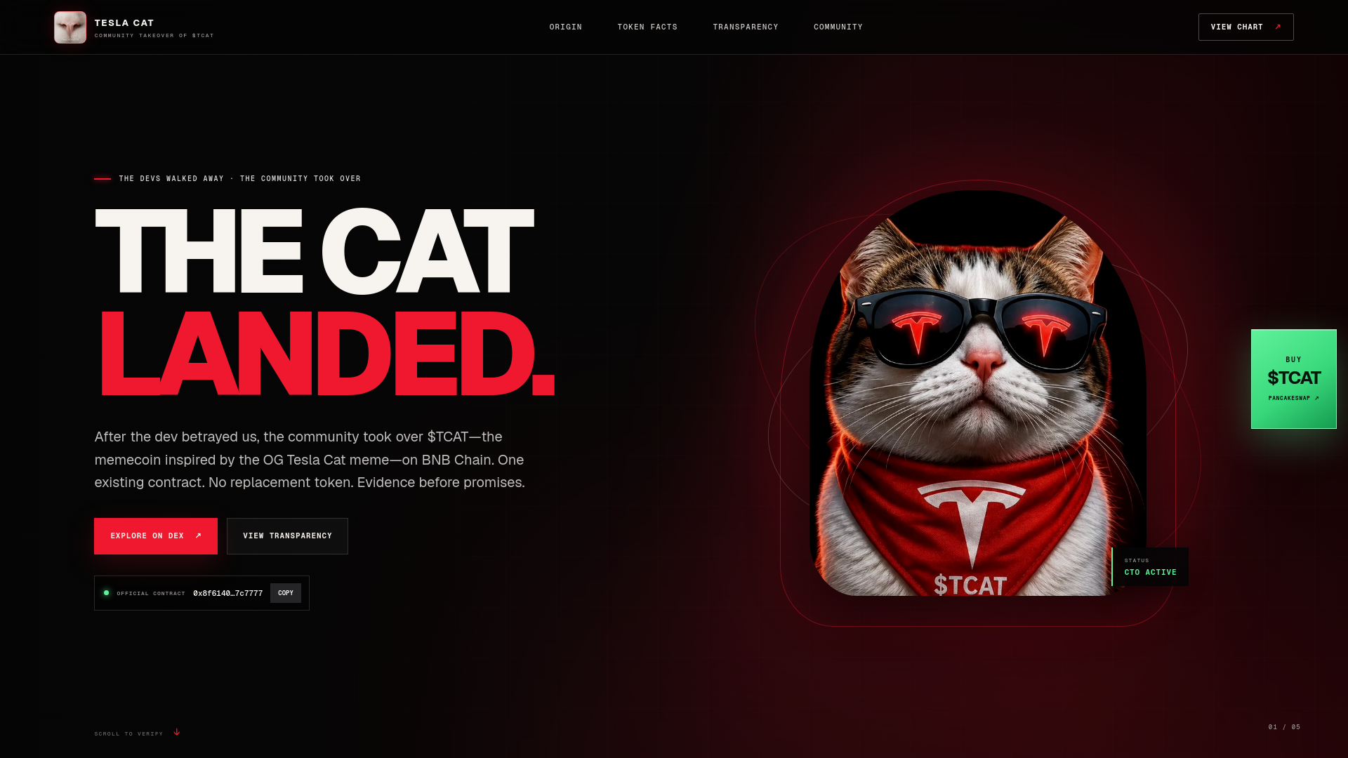 Screenshot of teslacatcto.com