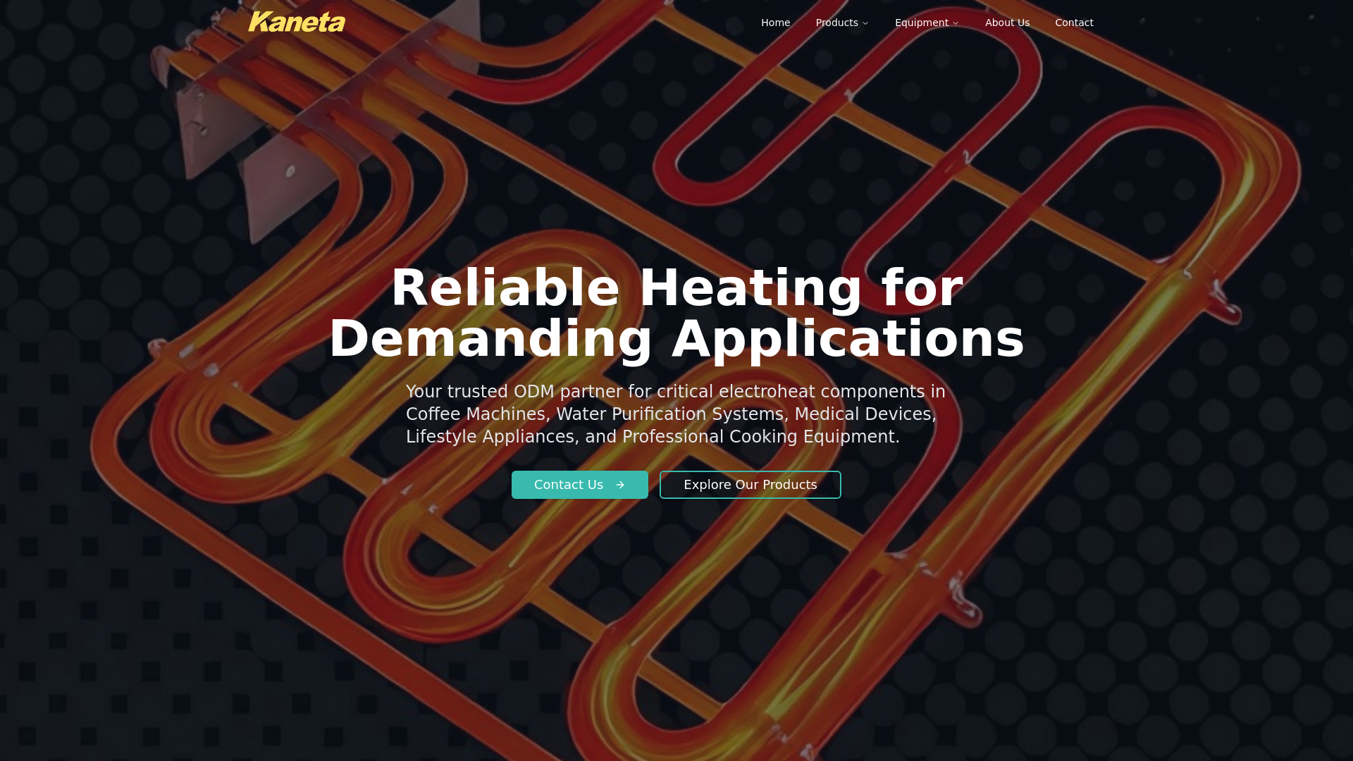 Screenshot of kaneta.com