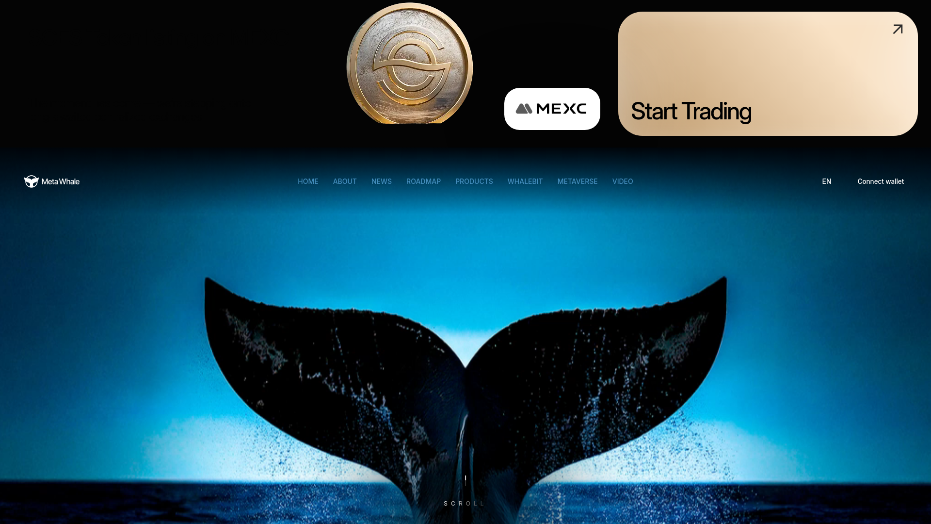 Screenshot of ces-metawhales.info