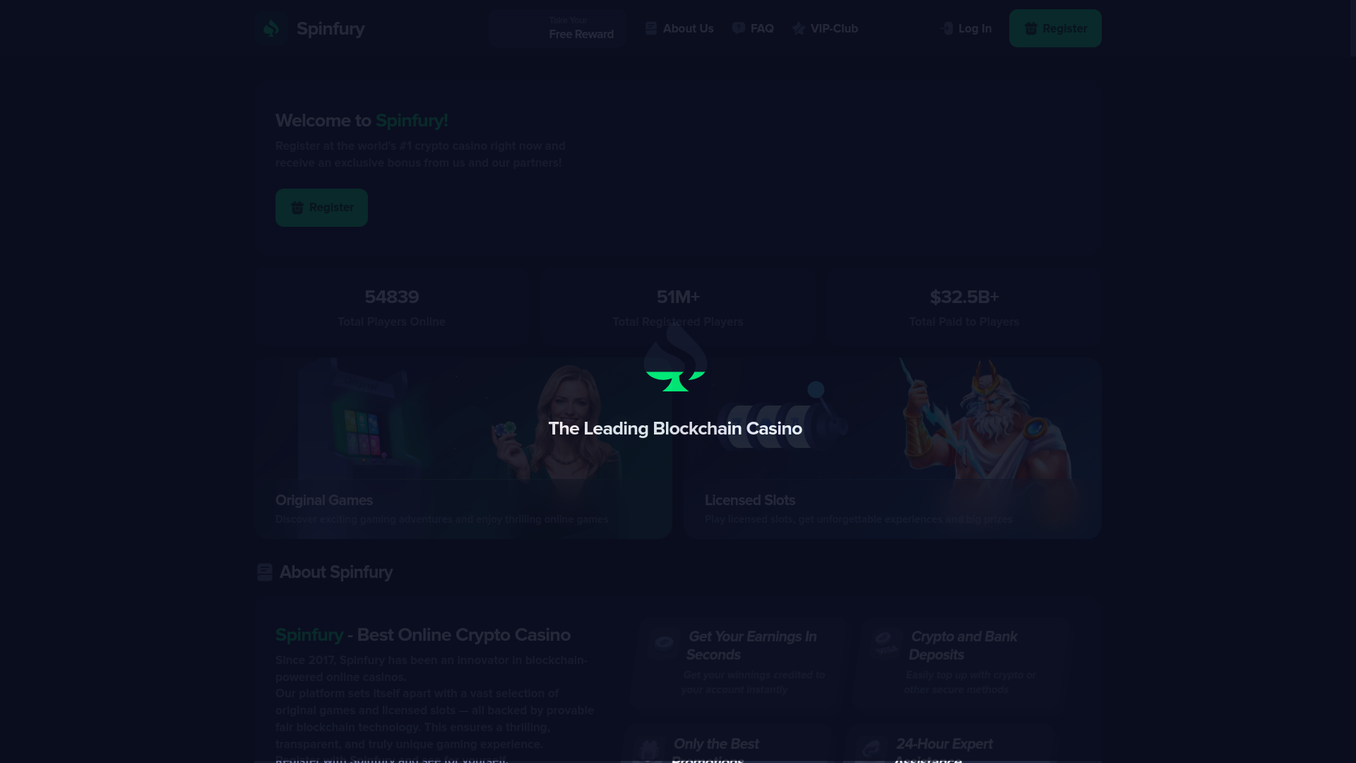 Screenshot of spinfury.life