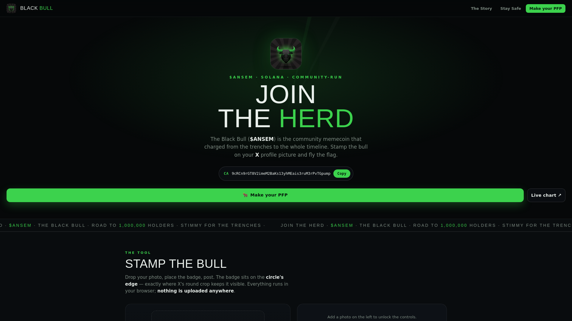 Screenshot of ansempfp.com