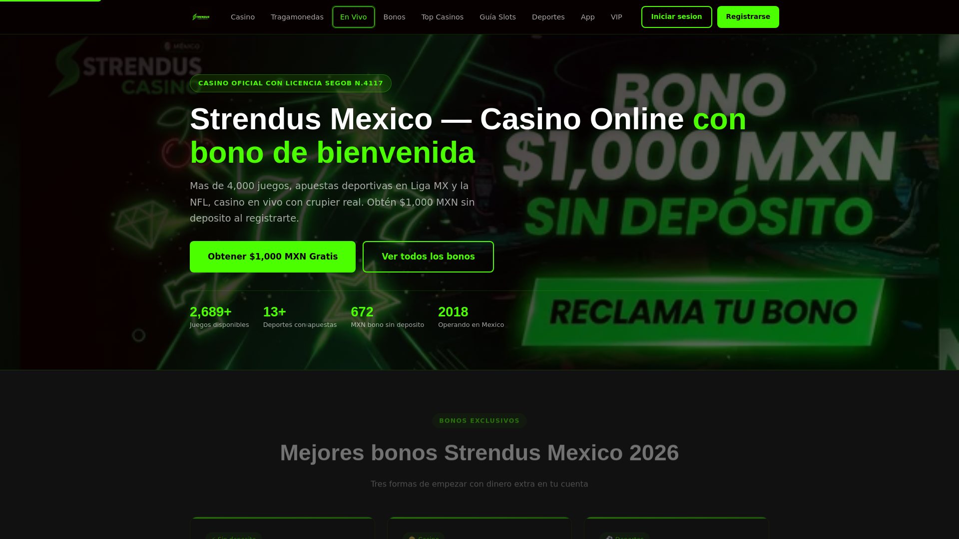 Screenshot of strendus-mx.com.mx