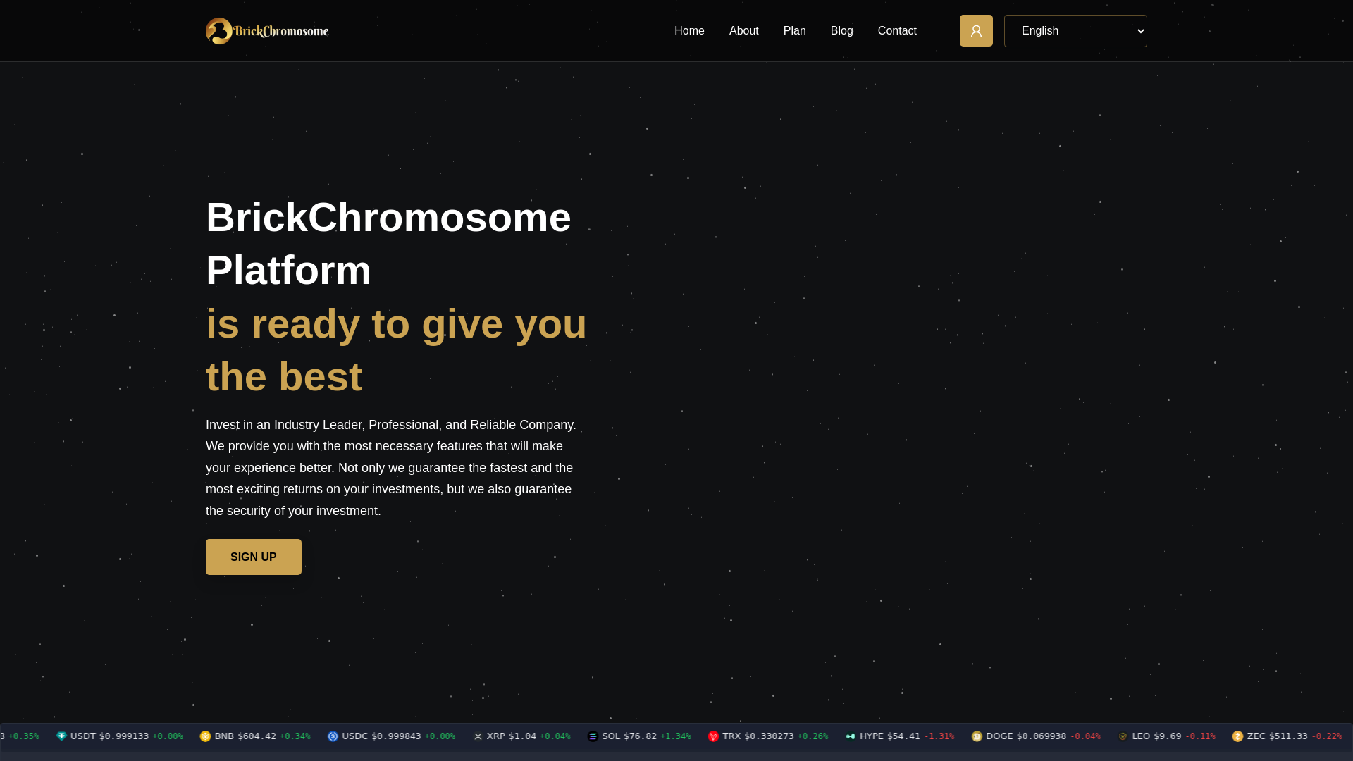 Screenshot of brickchromosome.com