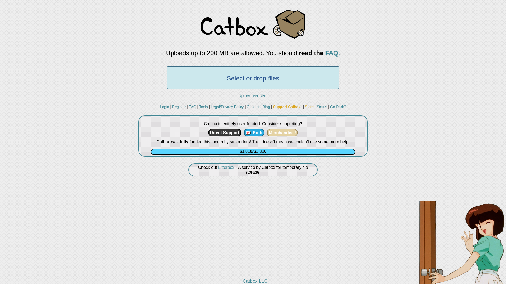 Stored capture of files.catbox.moe