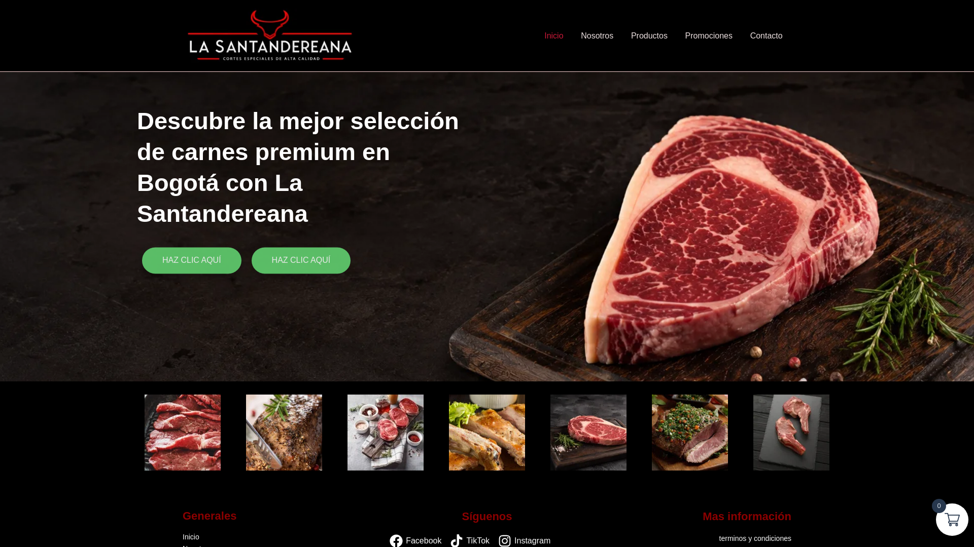 Screenshot of carneslasantandereana.com