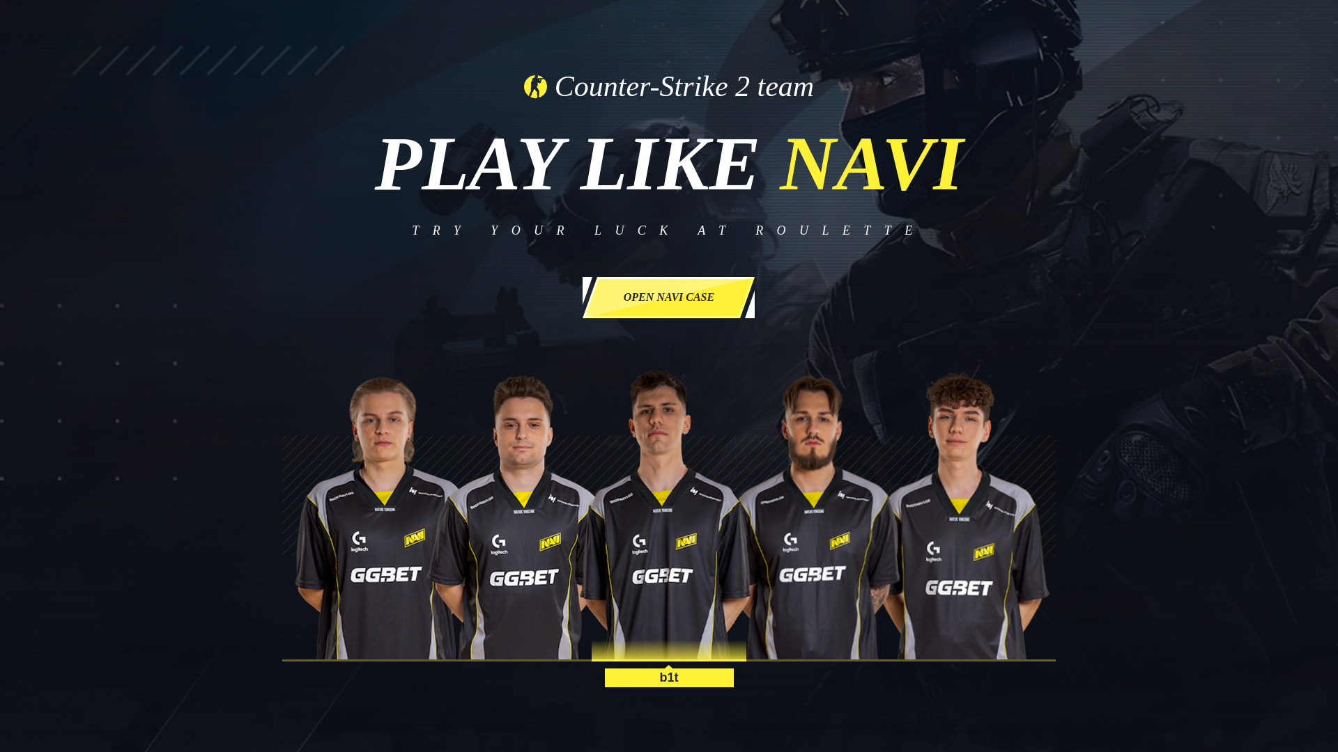 Screenshot of wynavi.com