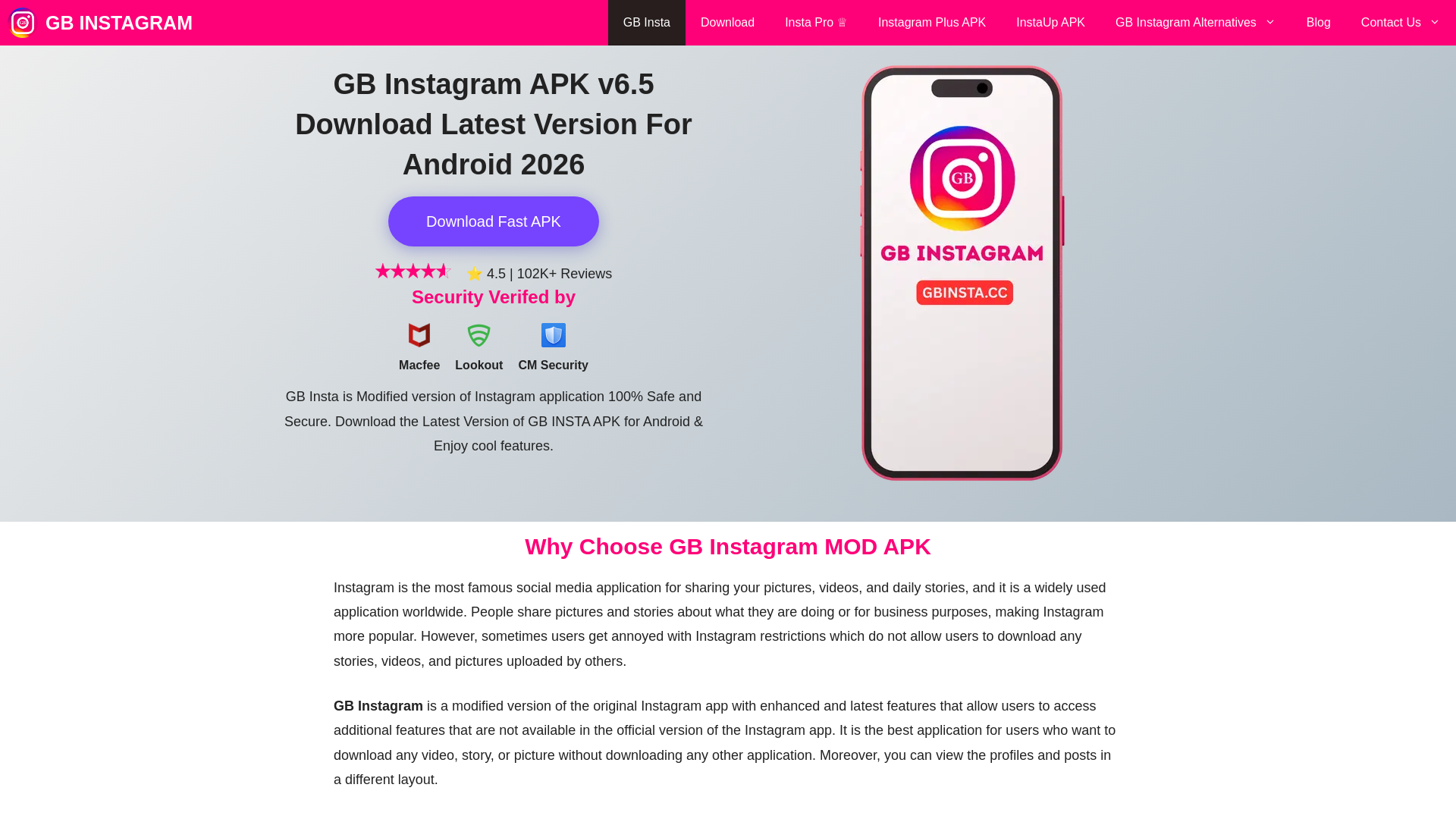 Screenshot of gbinsta.cc