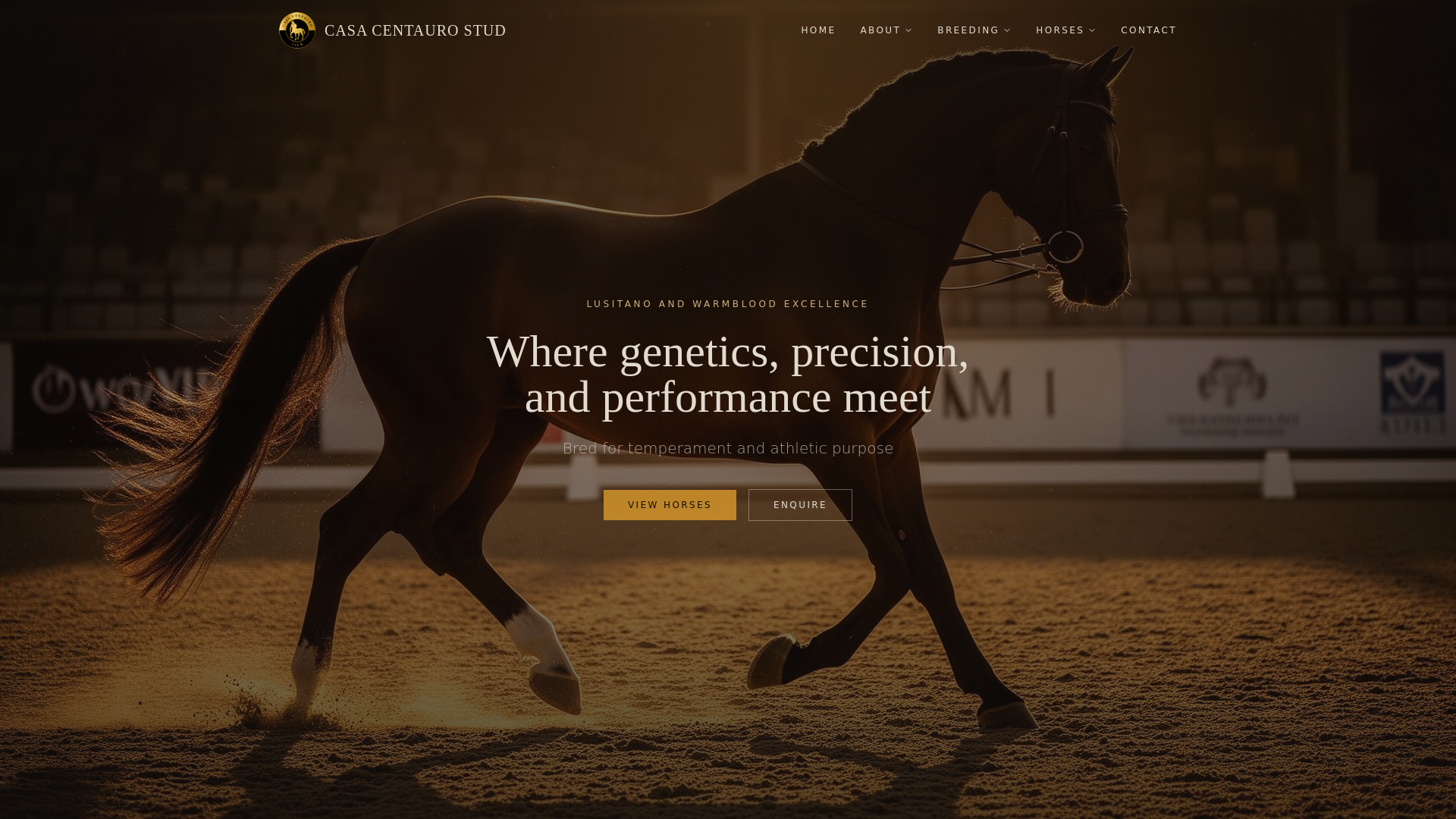 Screenshot of casacentauro.com