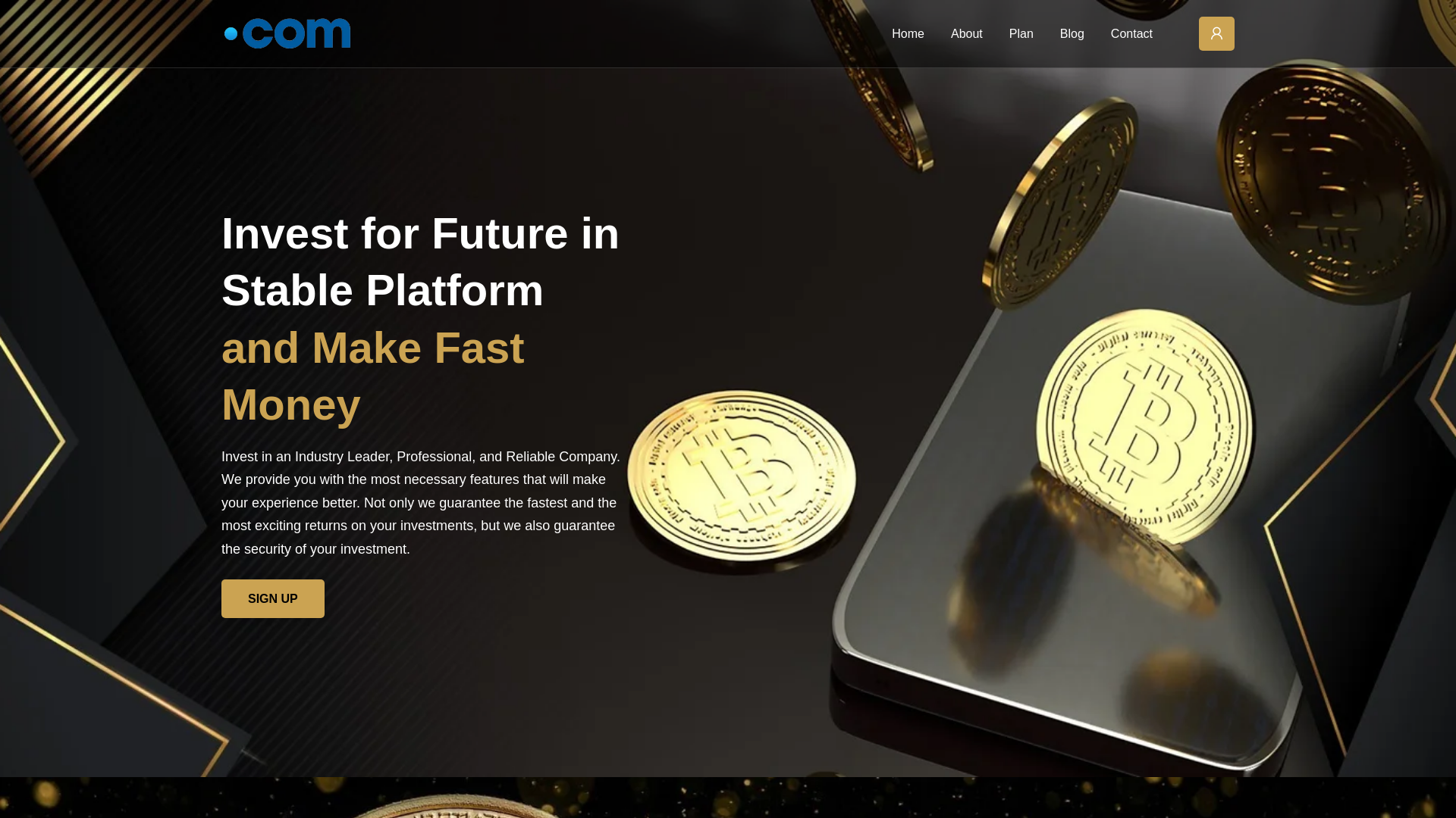 Screenshot of invest1.detechbazzar.com