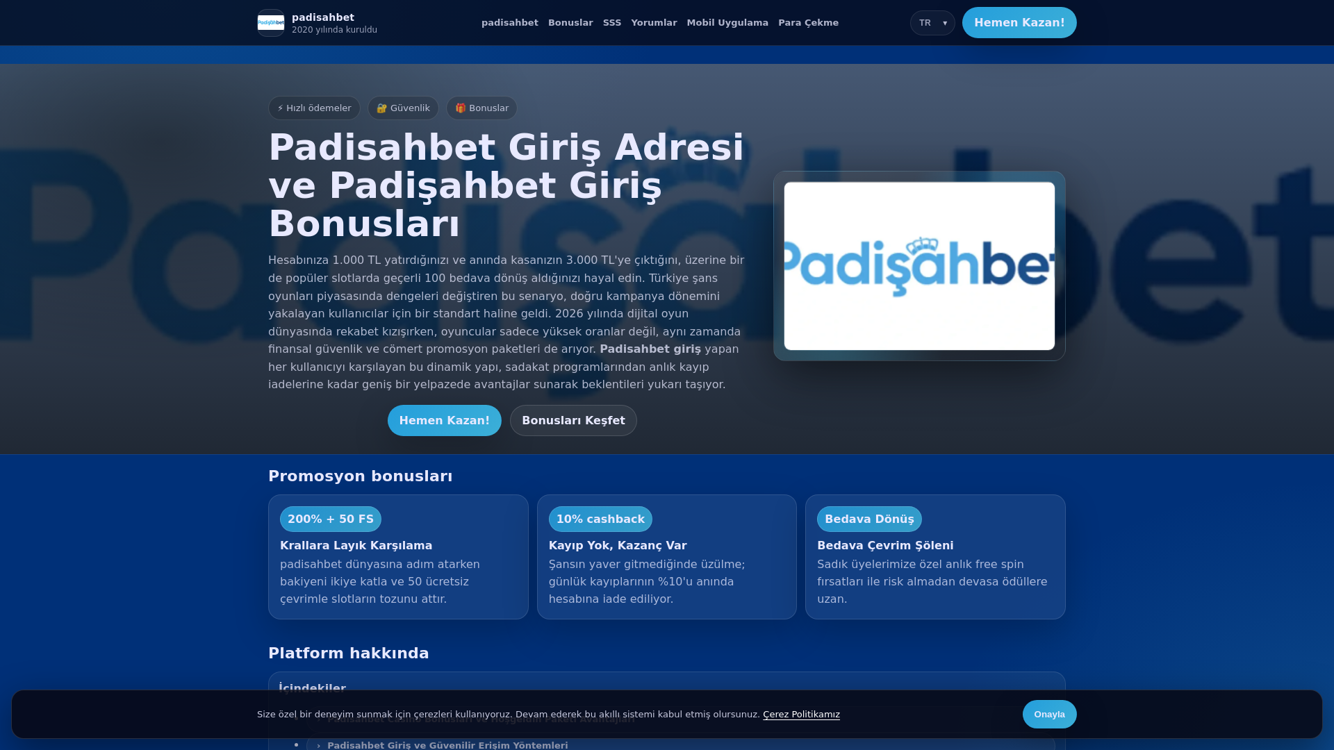 Screenshot of epingenc.com.tr