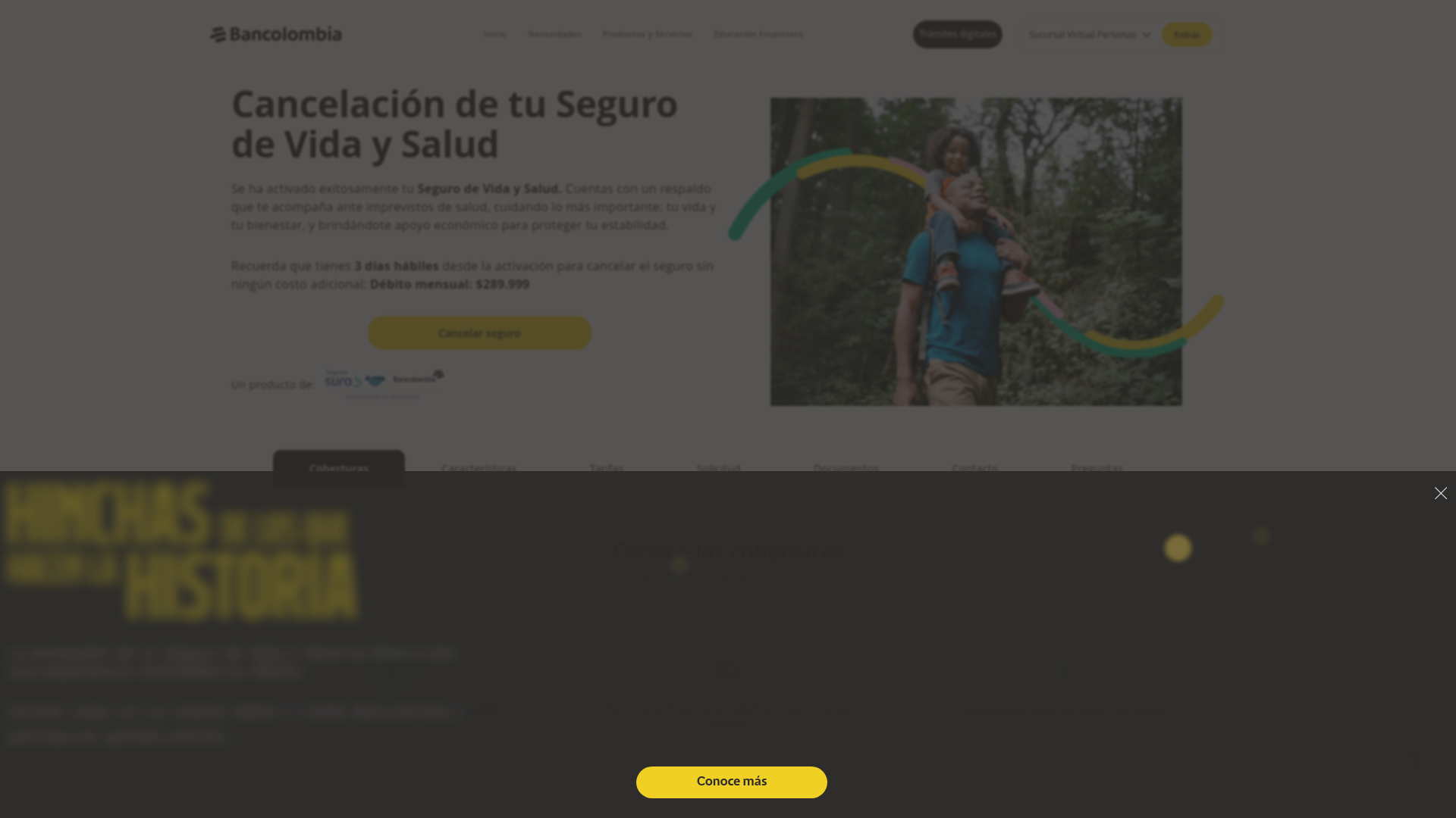 Screenshot of surainforseg.com