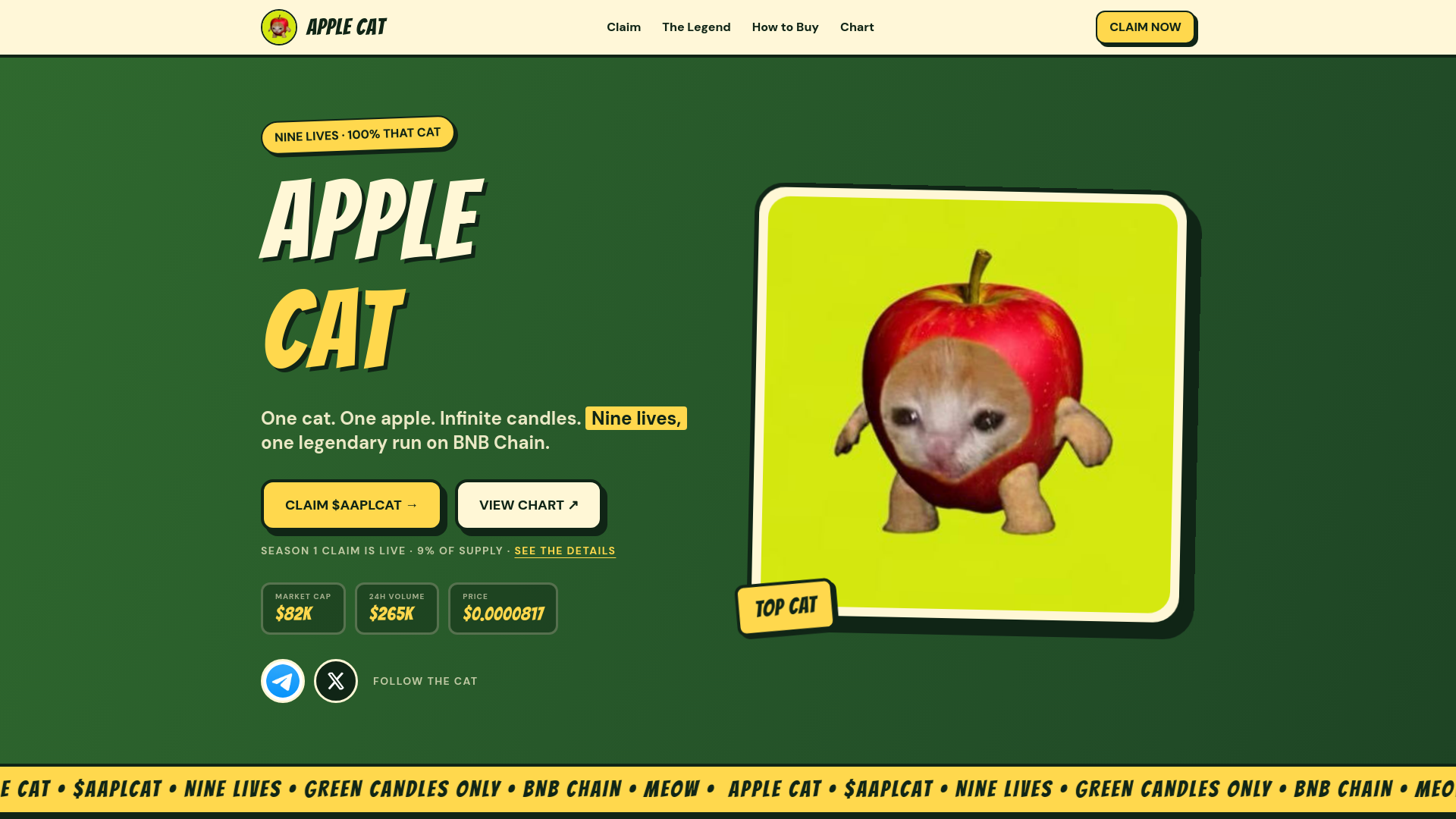 Screenshot of aaplcat.netlify.app