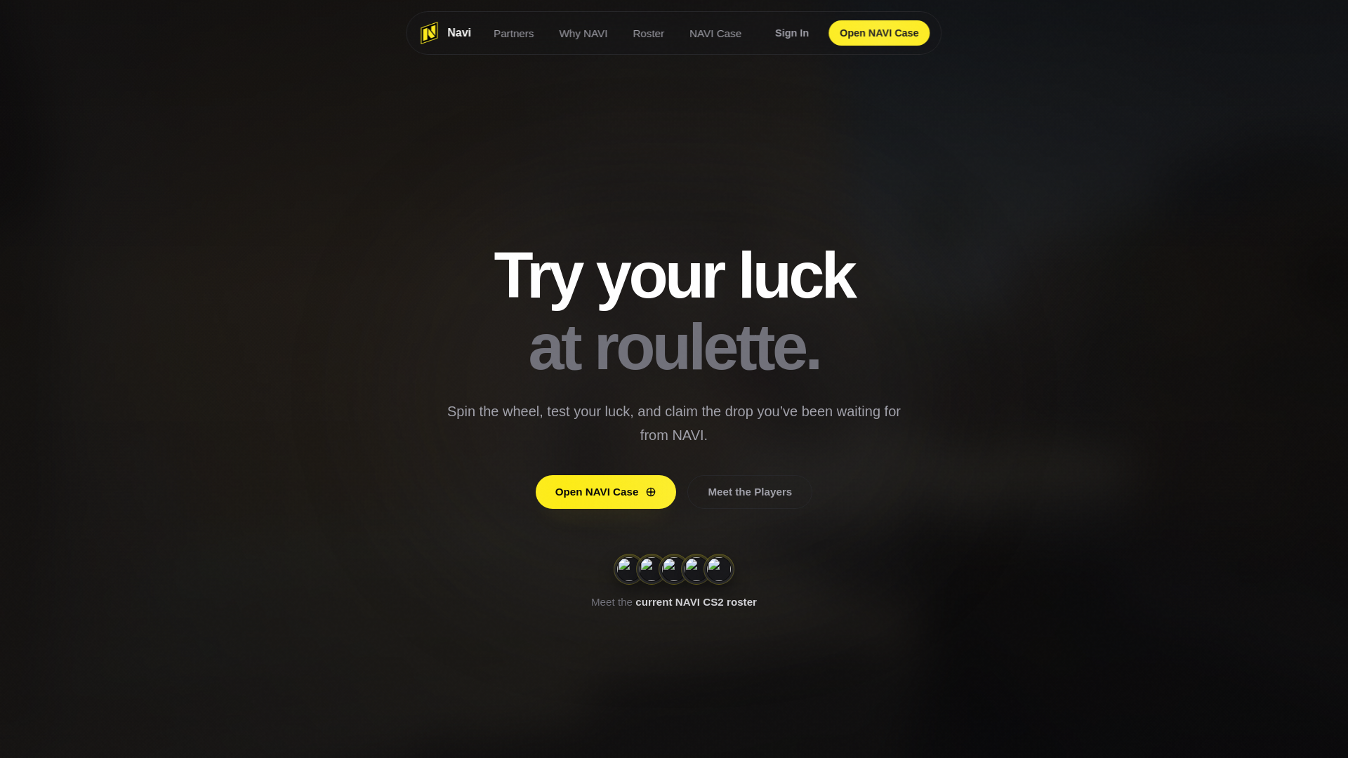 Screenshot of navi77.pro