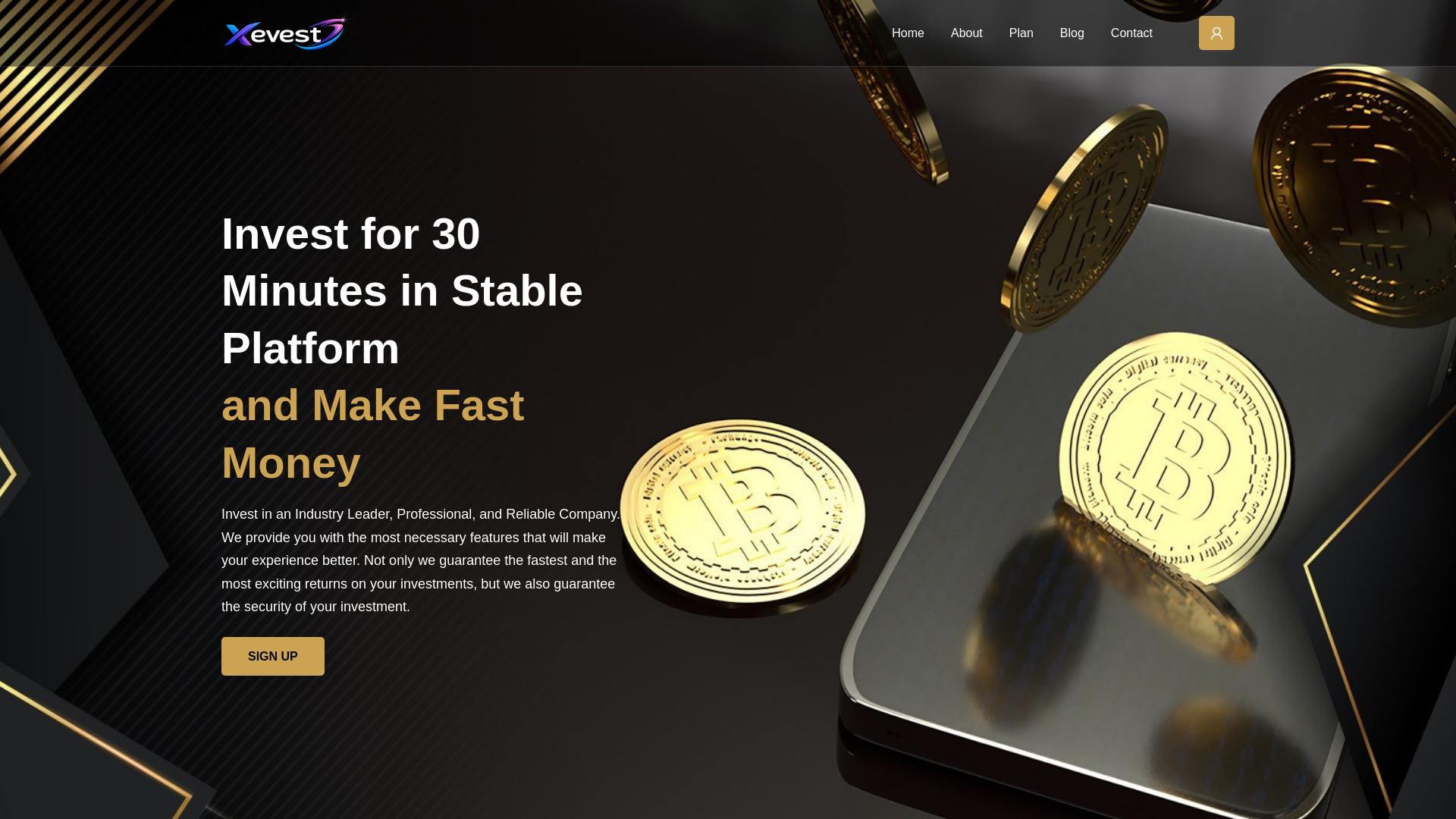Screenshot of xevest.com