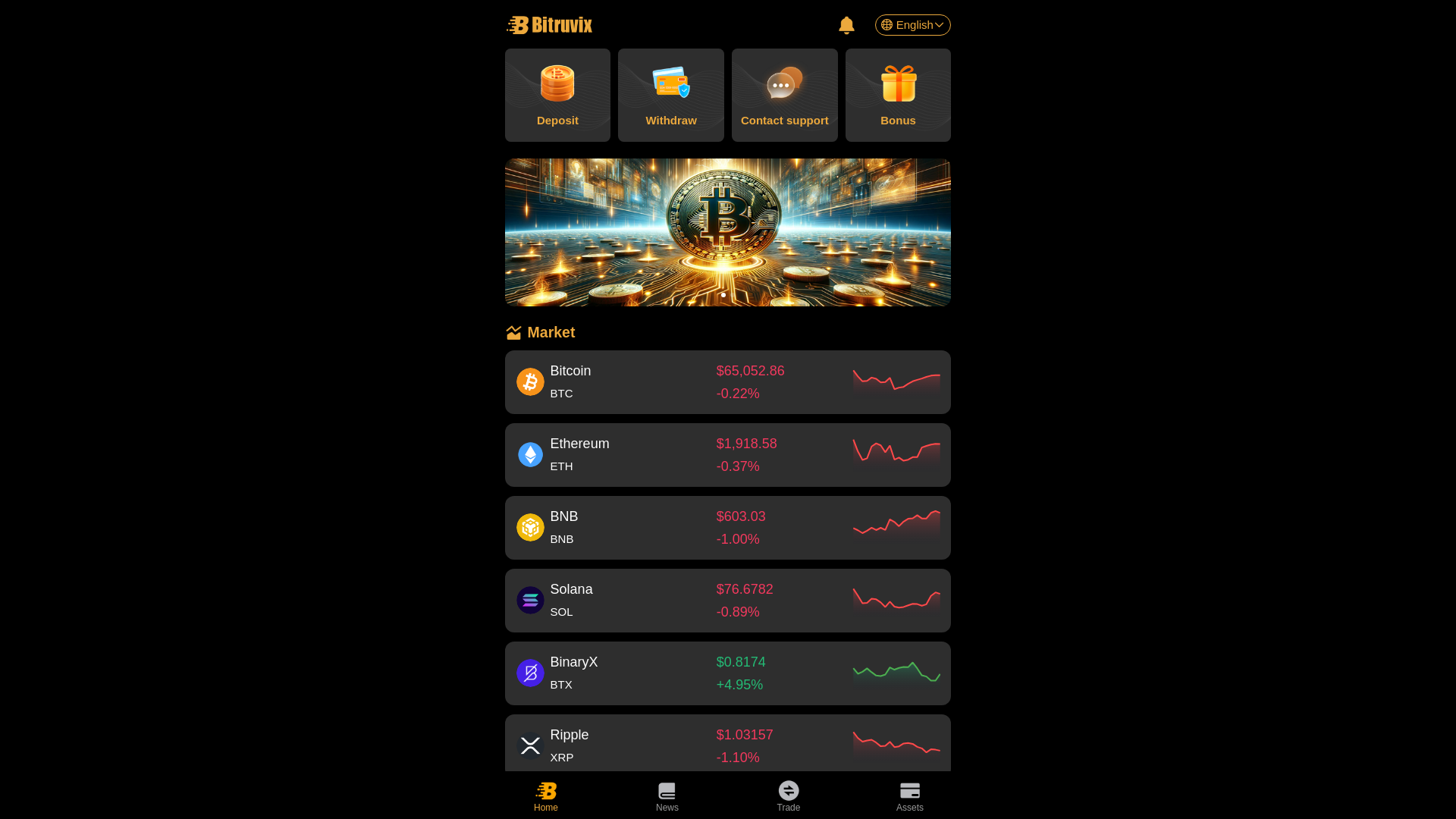 Stored capture of bitruvix.org