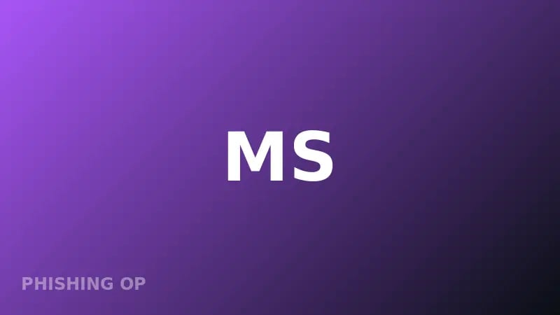 MS Drainer — Exposed Phishing Toolkit MS Drainer