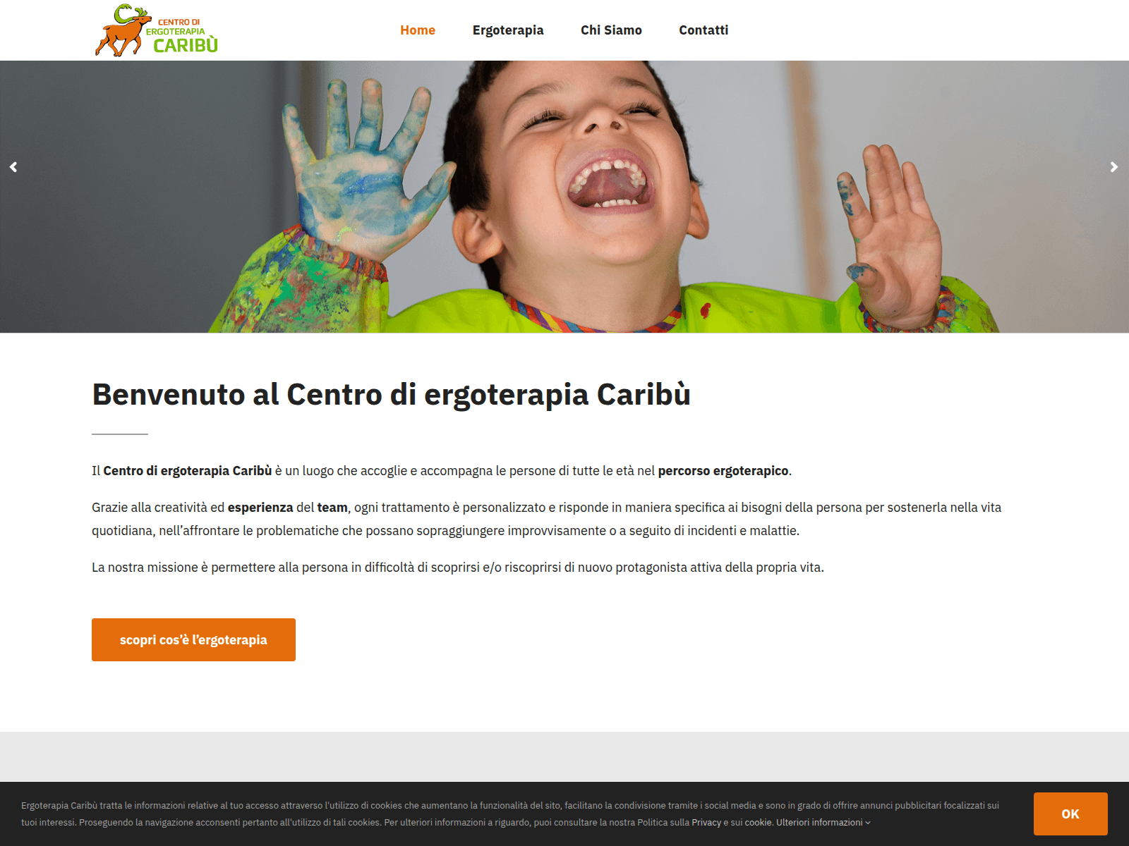 Screenshot von ergoterapiacaribu.ch