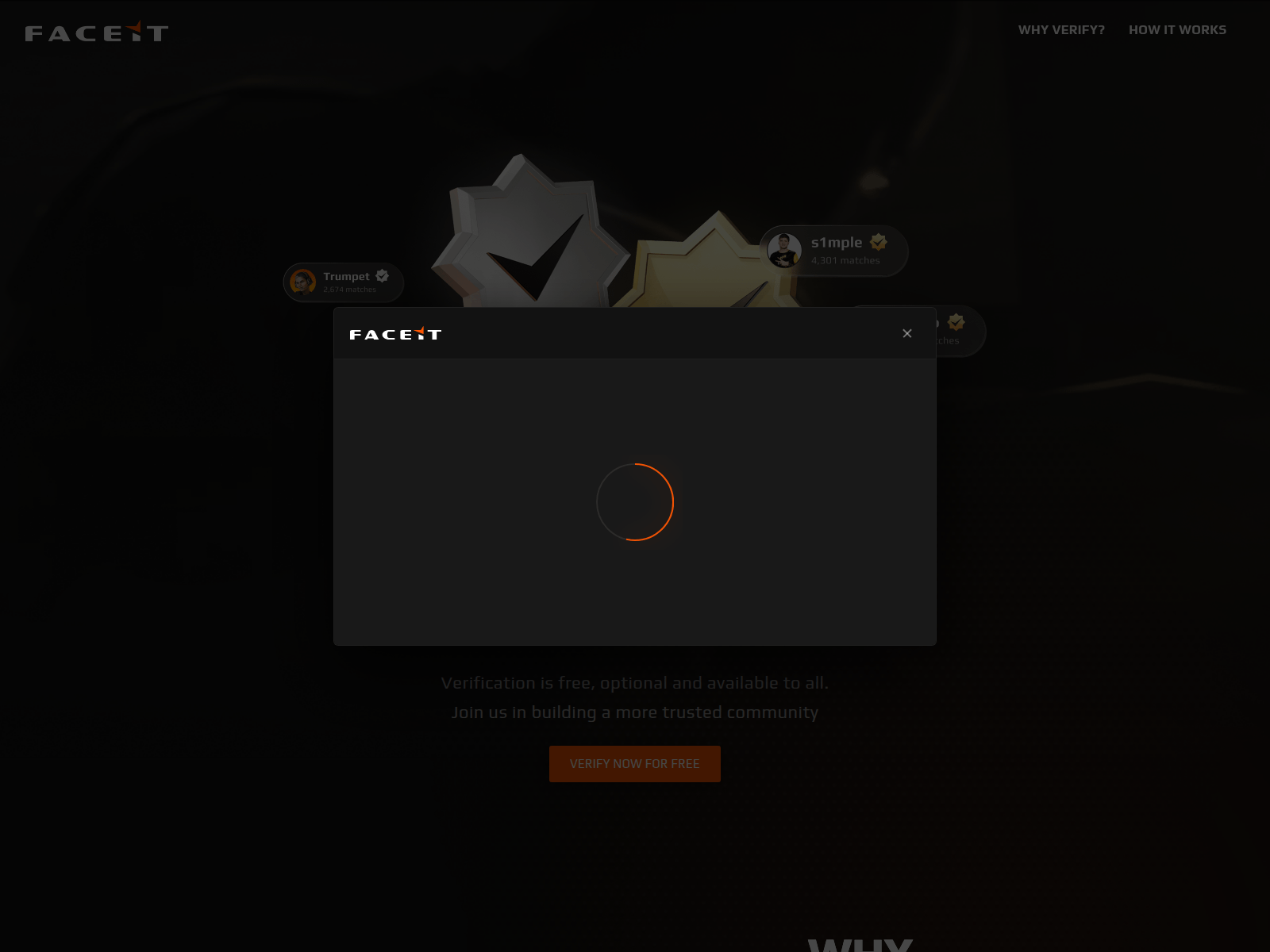 스크린샷: faceit.accsyncing.com