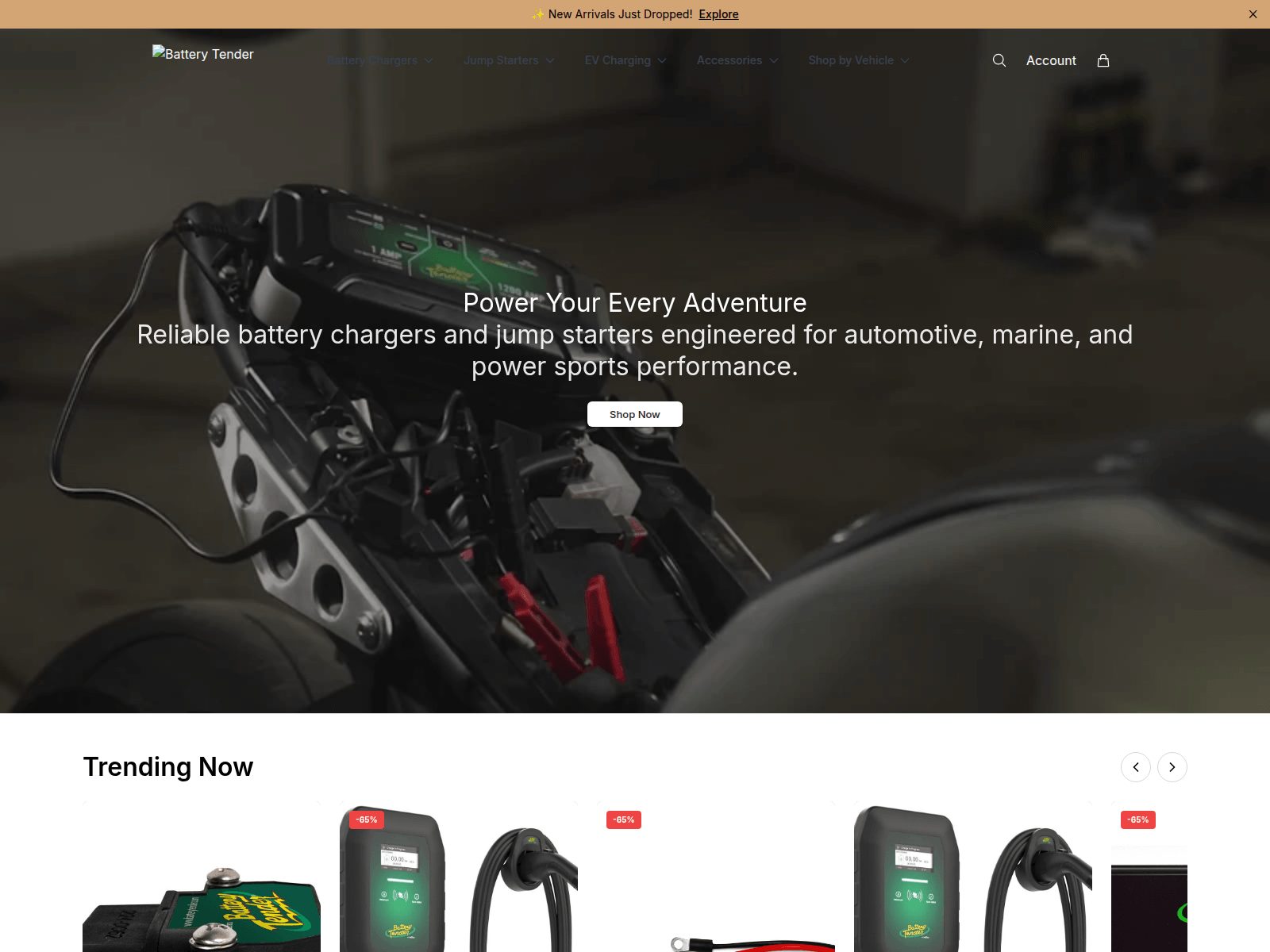 Captura de batterytenderauto.shop