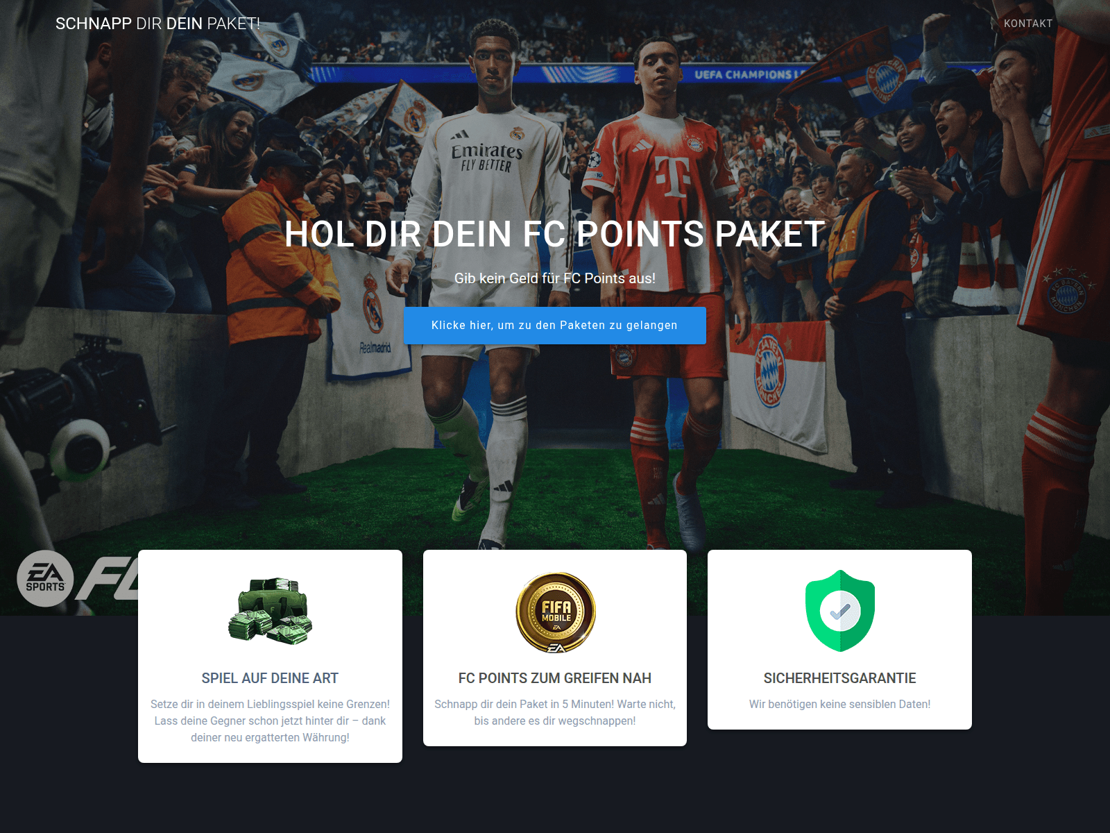 Schermata di fcpoints.online