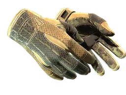 ★ Sport Gloves | Arid (Factory New)