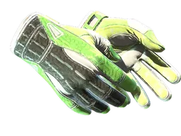 ★ Sport Gloves | Hedge Maze (Well-Worn)